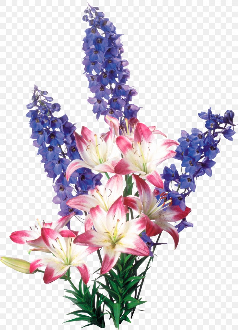 Flower Drawing, PNG, 1153x1600px, Flower, Animation, Artificial Flower, Cut Flowers, Delphinium Download Free