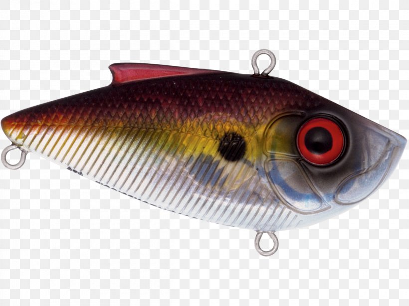 Plug Spoon Lure Fishing Baits & Lures Perch Water, PNG, 1200x899px, Plug, Bait, Fish, Fishing Bait, Fishing Baits Lures Download Free