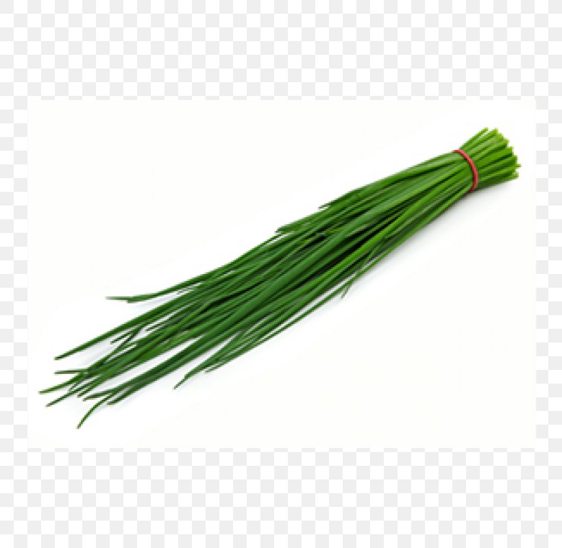 Chives Allium Fistulosum Herb Vegetable Common Sage, PNG, 800x800px, Chives, Allium Fistulosum, Common Sage, Condiment, Coriander Download Free