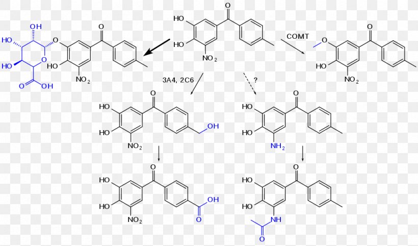 Conjugated System Xanthene Chemistry Electrophilic Aromatic Directing Groups Chemical Compound, PNG, 1024x603px, Conjugated System, Area, Atom, Auto Part, Chemical Compound Download Free