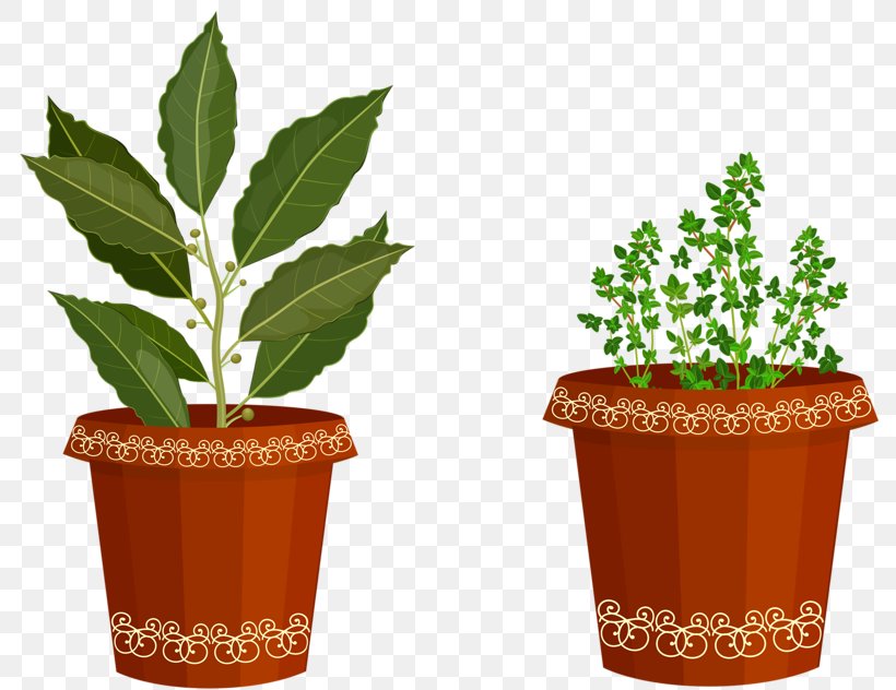 Flowerpot Houseplant Gardening Clip Art, PNG, 800x632px, Flowerpot, Flower Garden, Garden, Garden Centre, Gardening Download Free