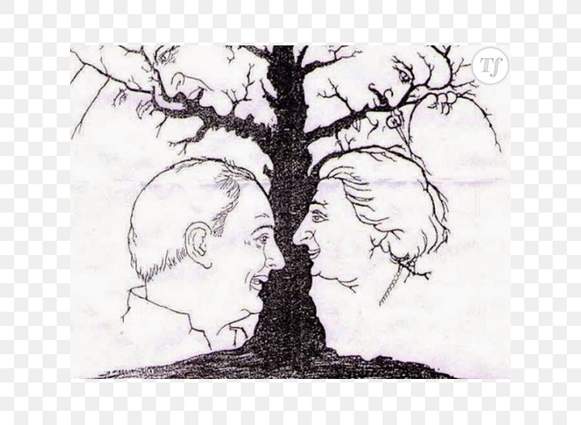 Hidden Faces Optics Optical Illusion, PNG, 622x600px, Face, Art, Artwork, Black And White, Branch Download Free