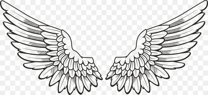 Drawing Angel Clip Art, PNG, 1600x737px, Drawing, Angel, Art, Artwork, Beak Download Free