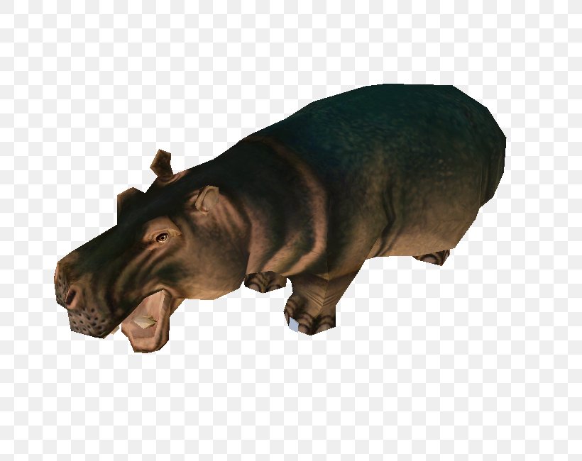 Hippopotamus Snout Wildlife, PNG, 750x650px, Hippopotamus, Snout, Wildlife Download Free