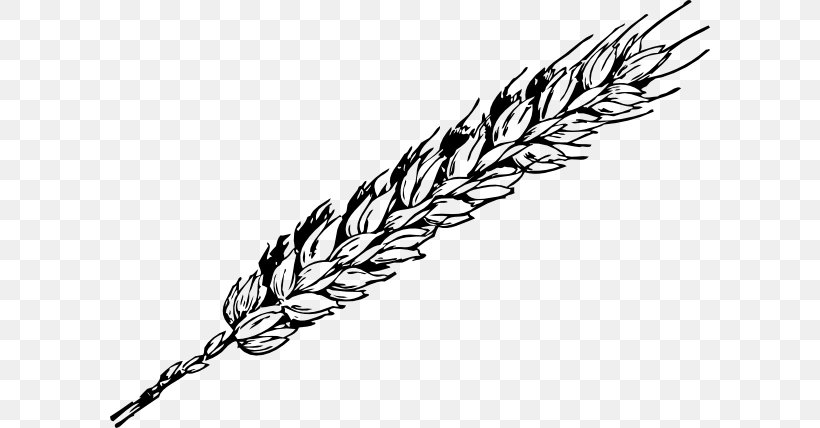 Wheat Clip Art, PNG, 600x428px, Wheat, Black And White, Blog, Commodity, Drawing Download Free