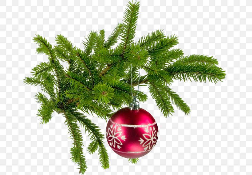 Christmas Tree Nordmann Fir Santa Claus, PNG, 670x571px, Christmas Tree, Animaatio, Bombka, Branch, Christmas Download Free