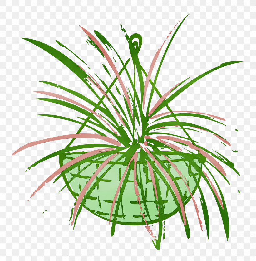 Plant Stem Leaf Aquarium Decor Grasses Terrestrial Plant, PNG, 2449x2500px, Plant, Aquarium, Aquarium Decor, Flower, Flowerpot Download Free