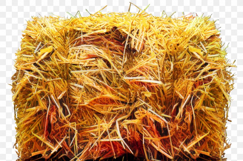 Straw Background, PNG, 957x635px, Commodity, Cuisine, Grass, Hay, Orange Download Free