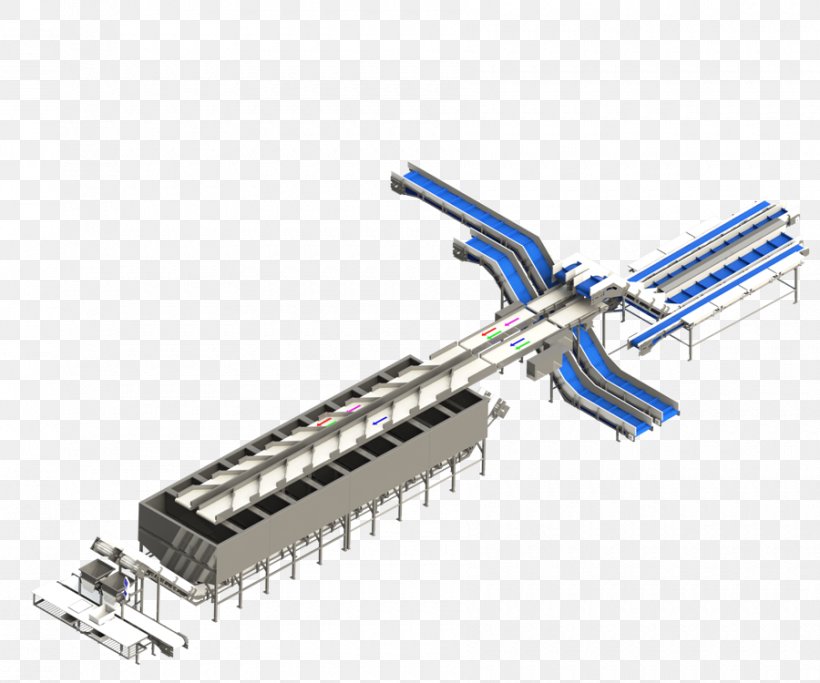 Whitefish Pelagic Fish Grader Grading, PNG, 900x750px, Whitefish, Conveyor Belt, Conveyor System, Electrical Connector, Fillet Download Free