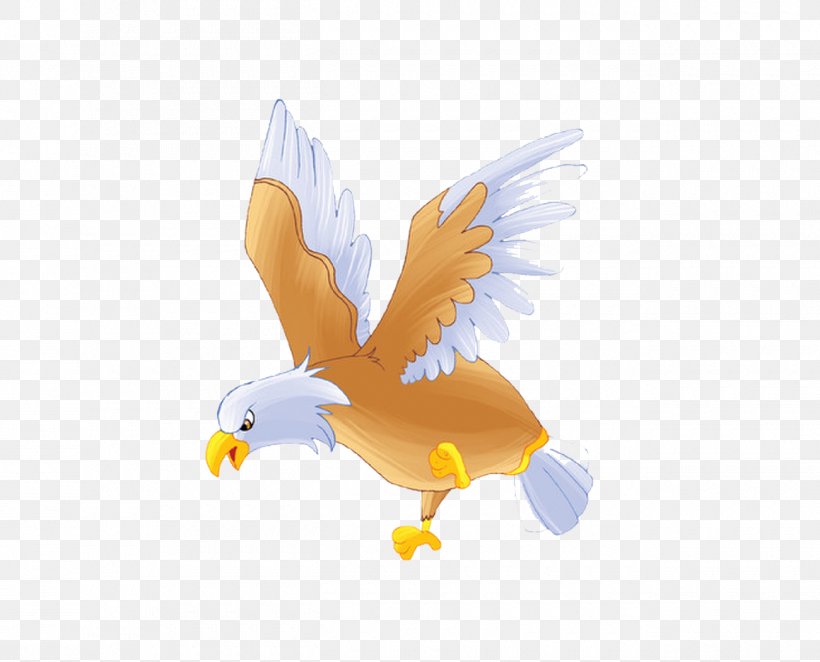 Bald Eagle Bird Hawk, PNG, 1300x1050px, Bald Eagle, Beak, Bird, Bird Of Prey, Cartoon Download Free
