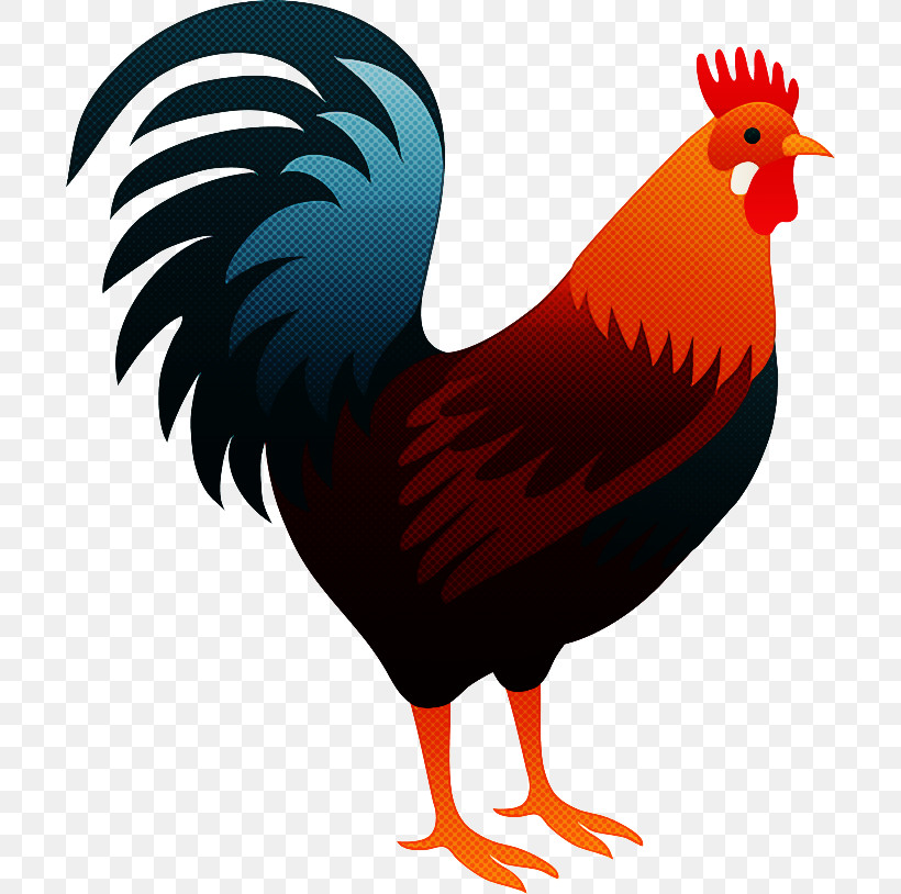 Bird Chicken Rooster Beak Comb, PNG, 700x814px, Bird, Beak, Chicken, Comb, Fowl Download Free