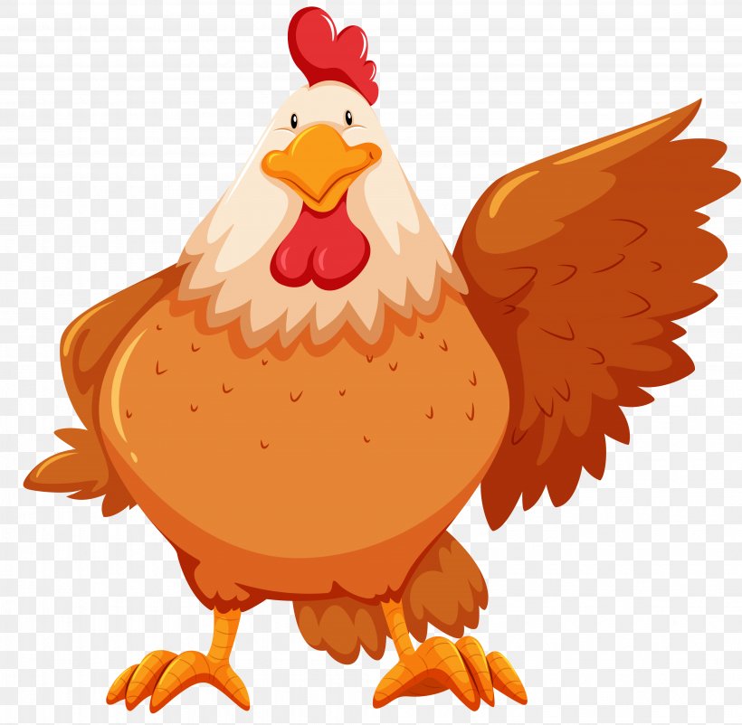 Chicken Flashcard Stock Photography, PNG, 4085x4000px, Chicken, Beak, Bird, Chicken Meat, Drawing Download Free