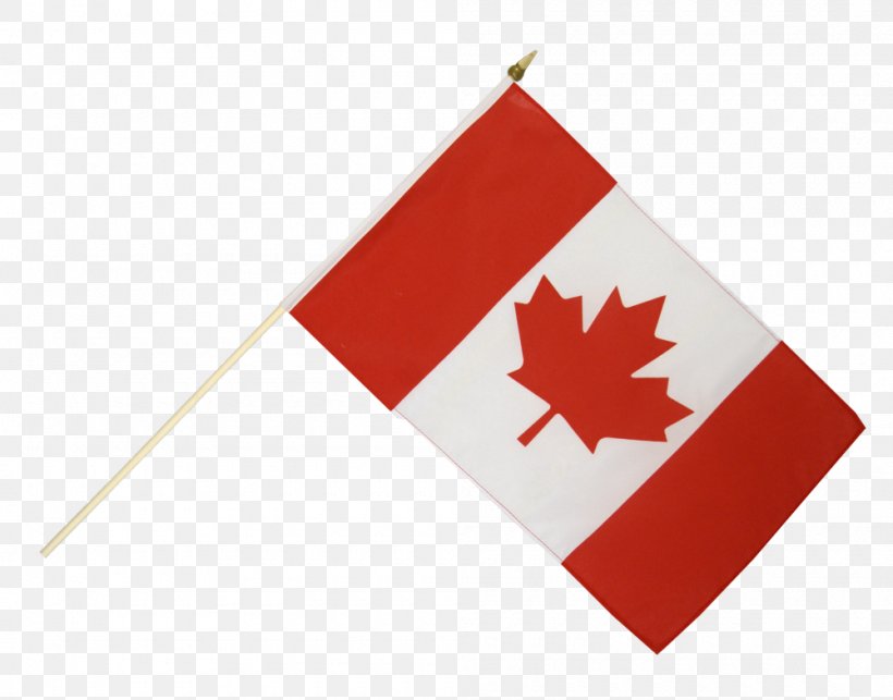 Flag Of Canada Flag Of The United States Maple Leaf, PNG, 1000x785px, Flag Of Canada, Bunting, Canada, Fahne, Flag Download Free