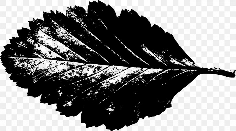 Leaf Clip Art, PNG, 1280x716px, Leaf, Autumn, Black And White, Drawing, Maple Leaf Download Free