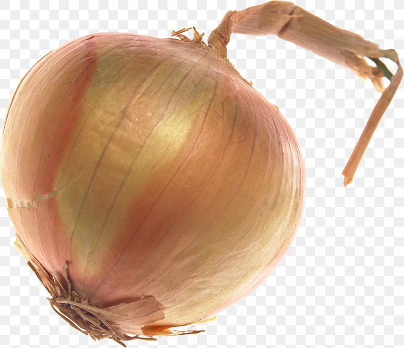 Yellow Onion Shallot, PNG, 2287x1970px, Shallot, Allium Fistulosum, Food, Image File Formats, Ingredient Download Free