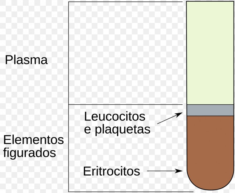 Blood Plasma Red Blood Cell Liquid White Blood Cell, PNG, 1246x1024px, Blood Plasma, Area, Blood, Blood Vessel, Brand Download Free