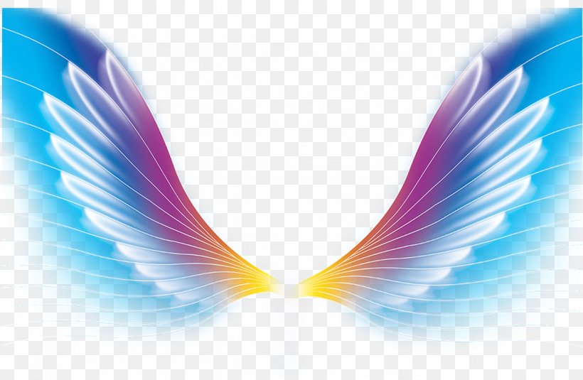 Color Wing, PNG, 1183x772px, Color, Close Up, Designer, Feather, Purple Download Free