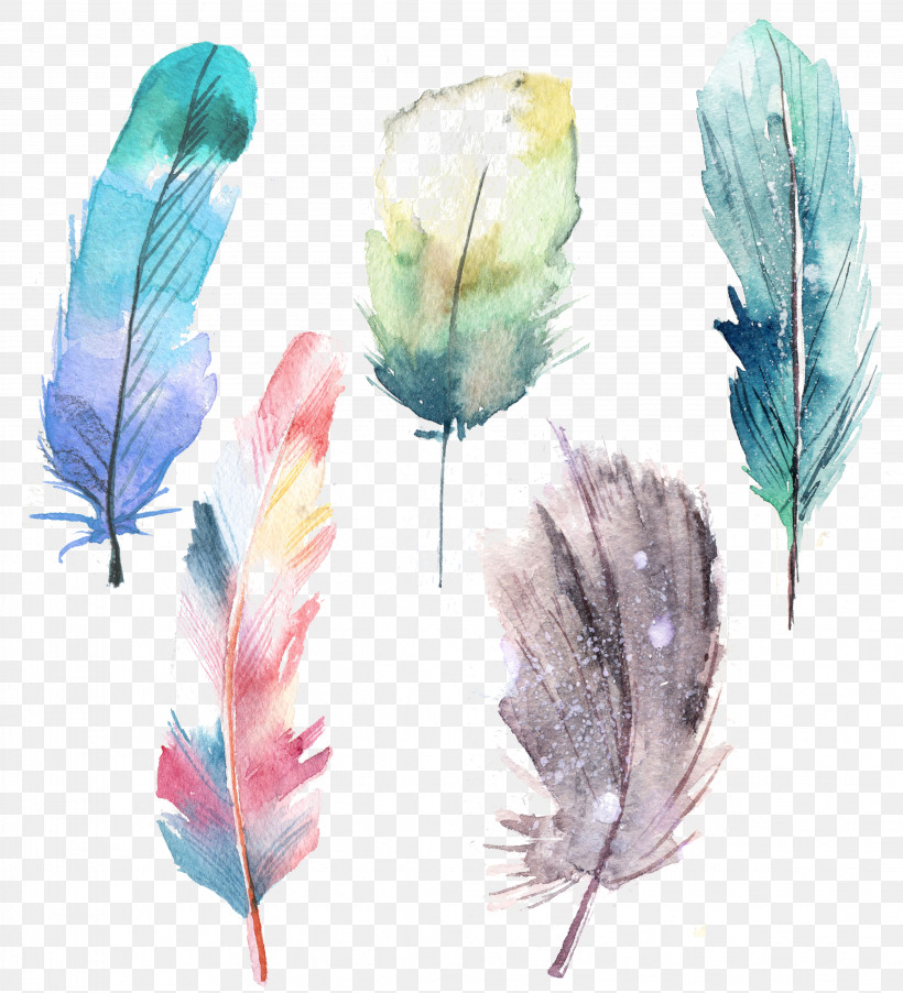 Feather, PNG, 4271x4703px, Feather, Grass, Leaf, Plant, Quill Download Free