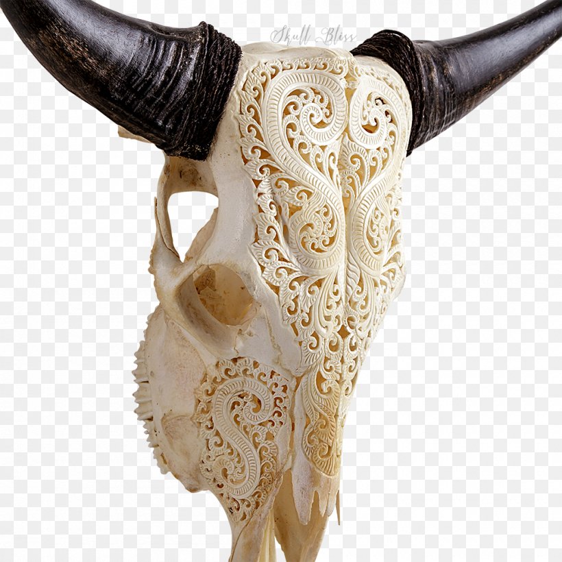 XL Horns Cattle Skull Art, PNG, 1000x1000px, Horn, Art, Art Exhibition, Cart, Cattle Download Free