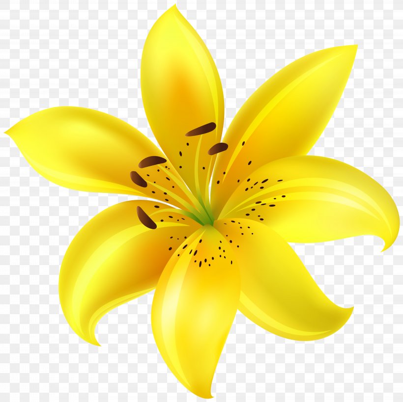 Yellow Petal Cut Flowers, PNG, 8000x7994px, Flower, Close Up, Cut Flowers, Family, Flowering Plant Download Free
