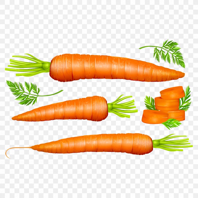 Carrot Vegetable Euclidean Vector, PNG, 1000x1000px, Carrot, Auglis, Baby Carrot, Bockwurst, Daucus Carota Download Free