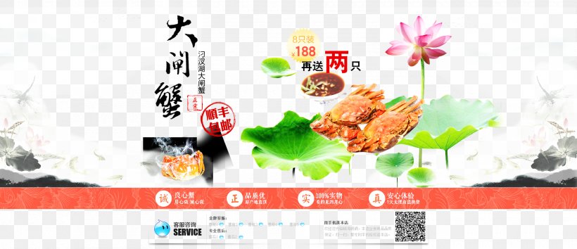 Crab Graphic Design Nelumbo Nucifera, PNG, 1920x829px, Crab, Advertising, Brand, Chinese Mitten Crab, Designer Download Free