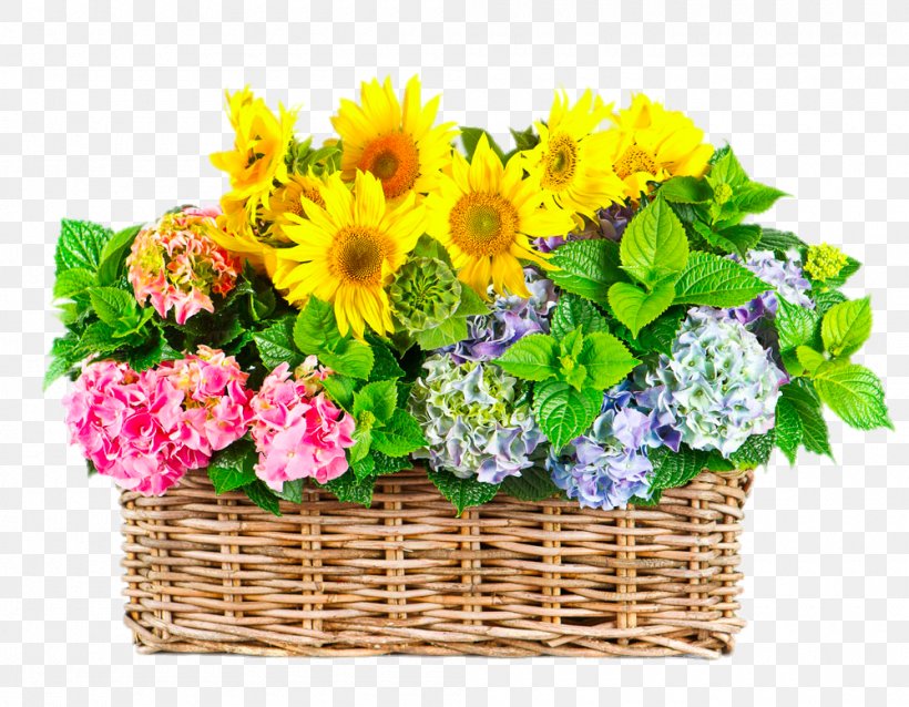 Flower Gratitude Floristry Stock Photography Royalty-free, PNG, 1000x779px, Flower, Agriculture, Annual Plant, Artificial Flower, Basket Download Free