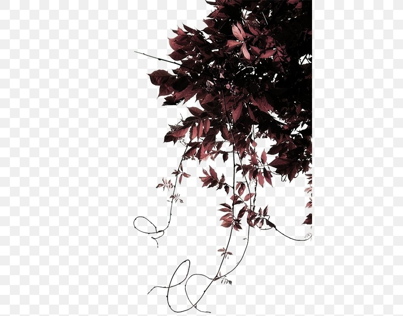 Leaf Sculpture Ornamental Plant Clip Art, PNG, 450x643px, Leaf, Branch, Fig Leaf, Flower, Flowering Plant Download Free