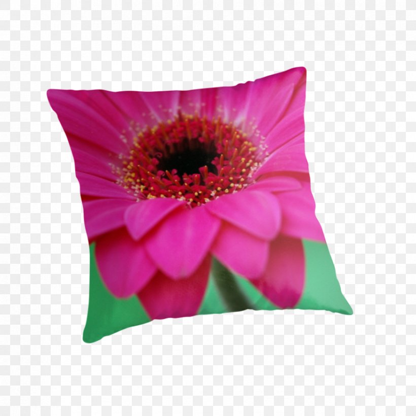 Throw Pillows Cushion Flowering Plant Petal, PNG, 875x875px, Throw Pillows, Cushion, Flower, Flowering Plant, Gerbera Download Free