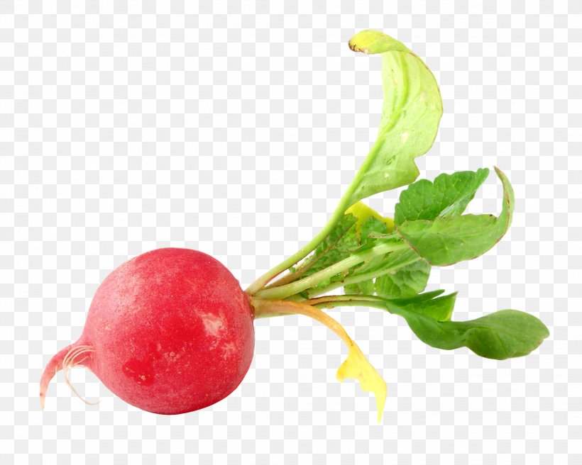 Daikon Vegetable Food Beetroot, PNG, 1942x1555px, Organic Food, Beetroot, Cabbage, Cherry, Cherry Tomato Download Free