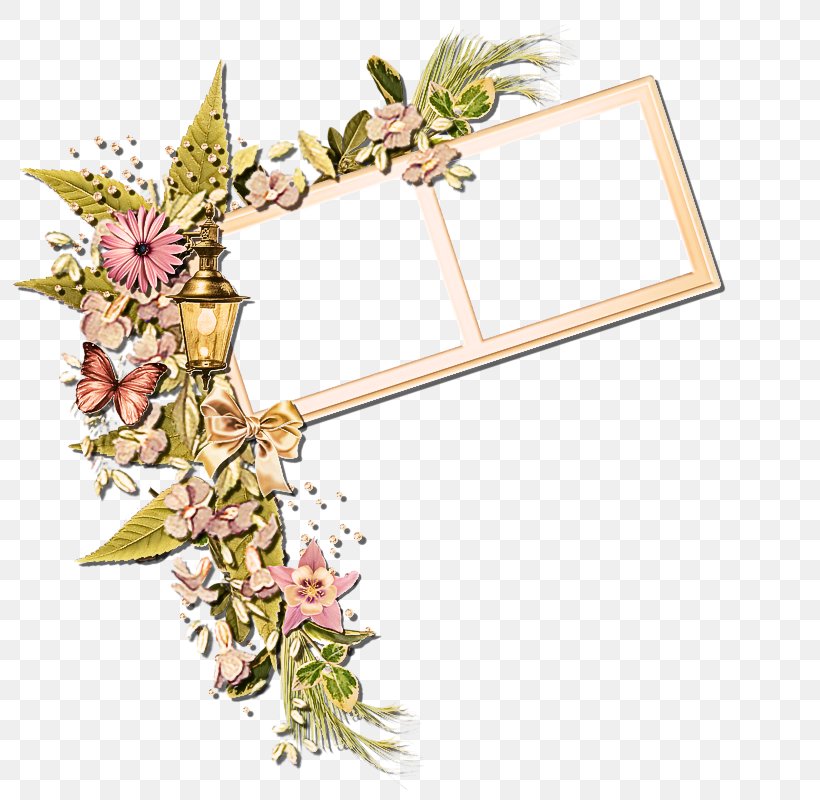 Picture Frame, PNG, 800x800px, Plant, Flower, Picture Frame, Wildflower Download Free