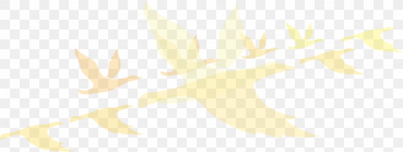Yellow Pattern, PNG, 2724x1028px, Yellow, Computer, Symmetry, Text, White Download Free