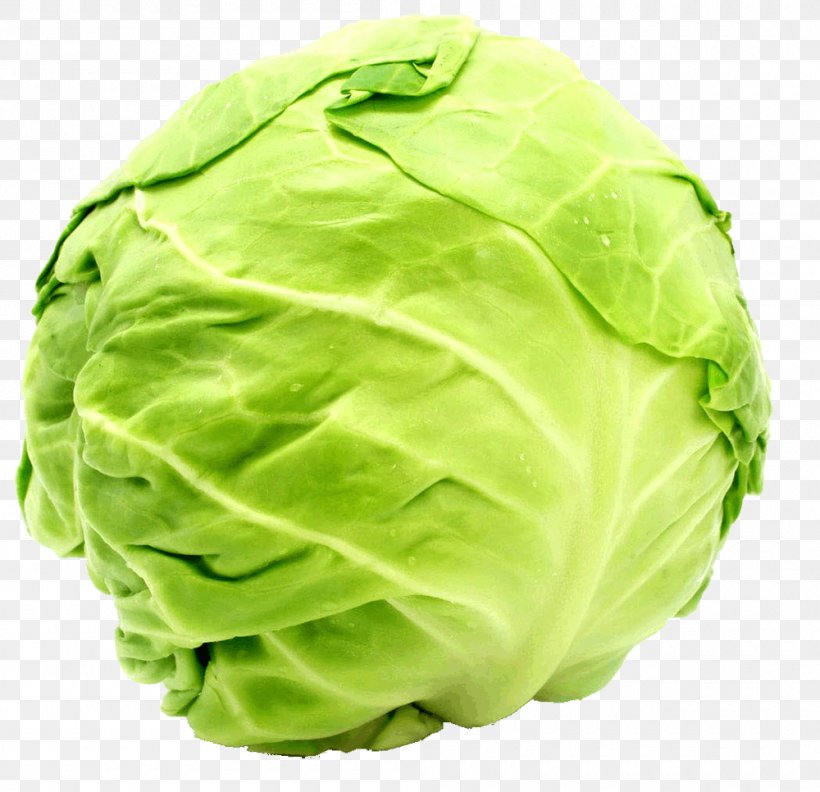 Cabbage Roll Carrot Napa Cabbage Vegetable, PNG, 1000x966px, Cabbage Roll, Brassica Oleracea, Brassica Rapa, Cabbage, Carrot Download Free
