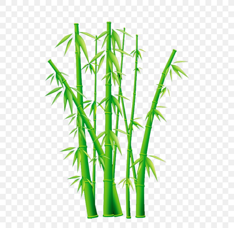 Clip Art Vector Graphics Bamboo Image, PNG, 800x800px, Bamboo, Drawing, Flowerpot, Giant Panda, Grass Download Free