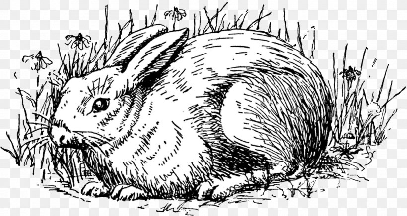 Easter Bunny Hare Rabbit Clip Art, PNG, 1600x852px, Easter Bunny, Animal, Art, Beaver, Black And White Download Free