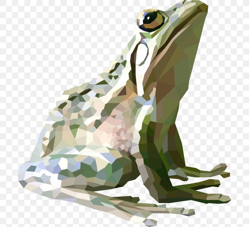 Toad True Frog Graphics Graphic Design, PNG, 704x750px, Toad, Amphibian, Camouflage, Frog, Organism Download Free
