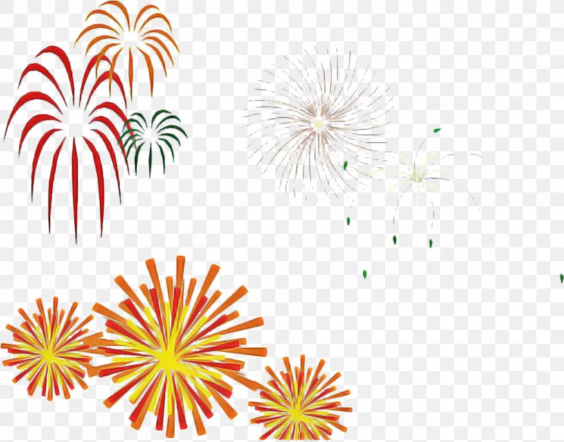 Fireworks Line Clip Art Event Plant, PNG, 1001x785px, Fireworks, Event, Holiday, Plant Download Free