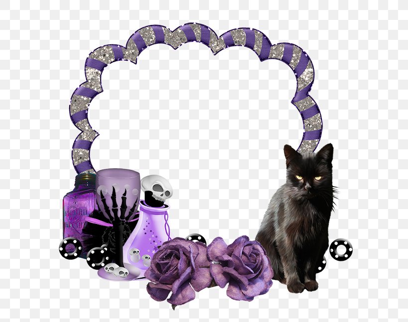 Kitten Picture Frames Black Cat Photography, PNG, 643x647px, Kitten, Black Cat, Body Jewellery, Body Jewelry, Cat Download Free