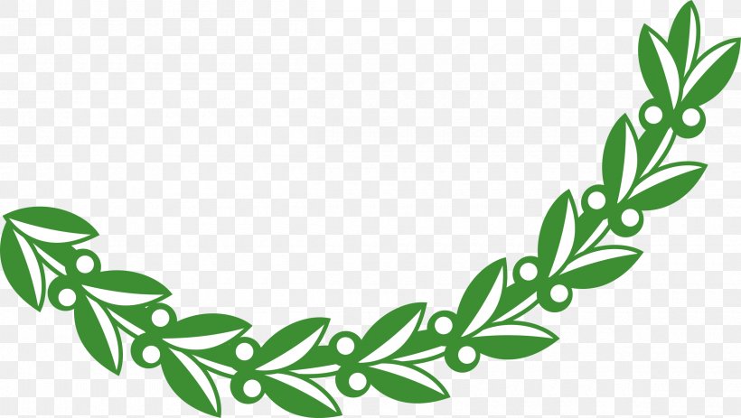 Olive Clip Art, PNG, 2400x1357px, Olive, Branch, Drawing, Flower, Flowering Plant Download Free