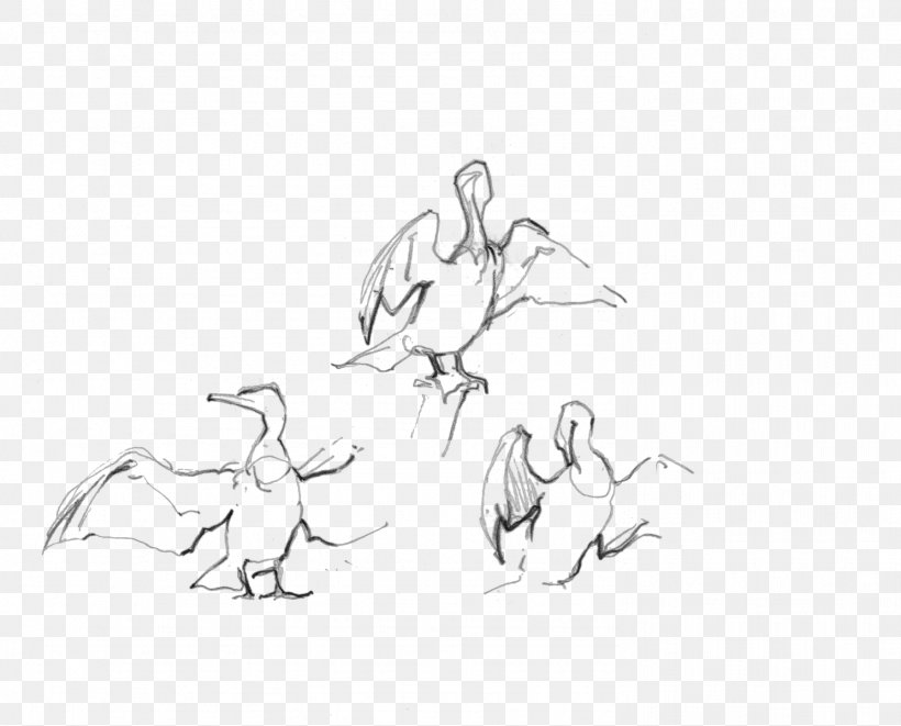 Beak Drawing Water Bird Anatidae Sketch, PNG, 1488x1200px, Beak, Anatidae, Arm, Art, Artwork Download Free