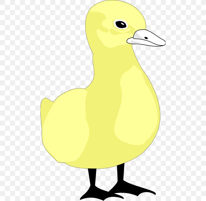 Duck Clip Art Illustration Cartoon Bird, PNG, 498x800px, Duck, Animaatio, Artwork, Beak, Bird Download Free