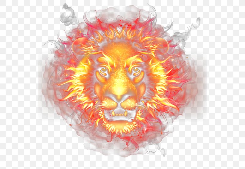 Light Flame Combustion, PNG, 567x567px, Tiger, Combustion, Fire, Flame, Haze Download Free