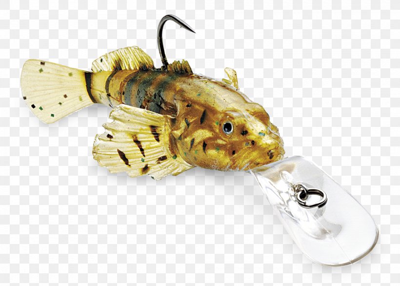 Fishing Baits & Lures Rig Fishing Tackle, PNG, 2000x1430px, Fishing Baits Lures, Fish, Fish Hook, Fisherman, Fishing Download Free