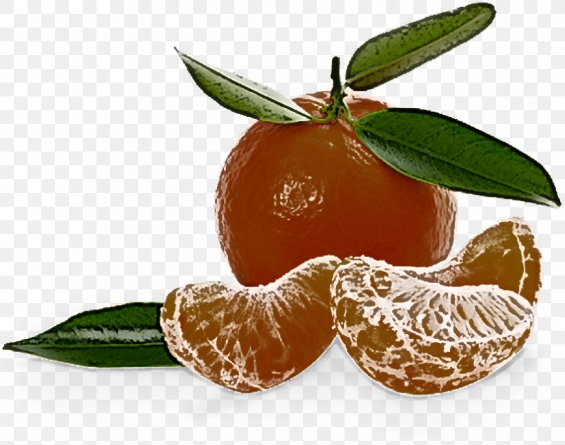 Clementine Mandarin Orange Food Tangerine Fruit, PNG, 825x650px, Clementine, Citrus, Food, Fruit, Leaf Download Free