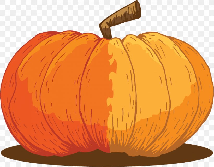 Jack-o'-lantern Gourd Pumpkin Winter Squash Calabaza, PNG, 865x676px, Jackolantern, Apple, Calabaza, Candy Pumpkin, Commodity Download Free