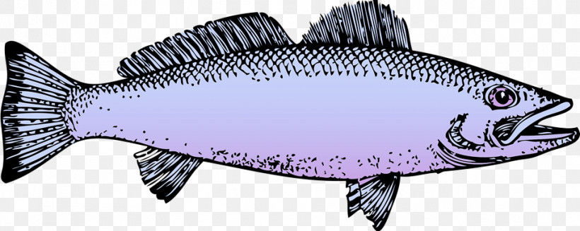 Oily Fish Sardine Milkfish Fish Barramundi, PNG, 958x383px, Oily Fish, Animal Figurine, Barramundi, Biology, Fish Download Free