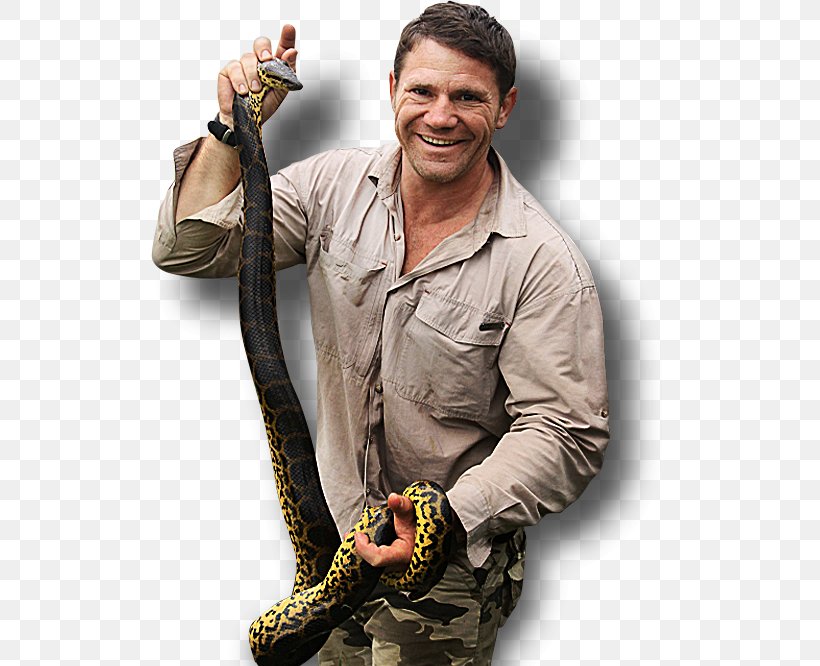 Snake Steve Backshall's Deadly 60 Steve Backshall's Deadly 60 Television Show, PNG, 517x666px, Snake, Animal, Australia, Bbc, Deadly Download Free