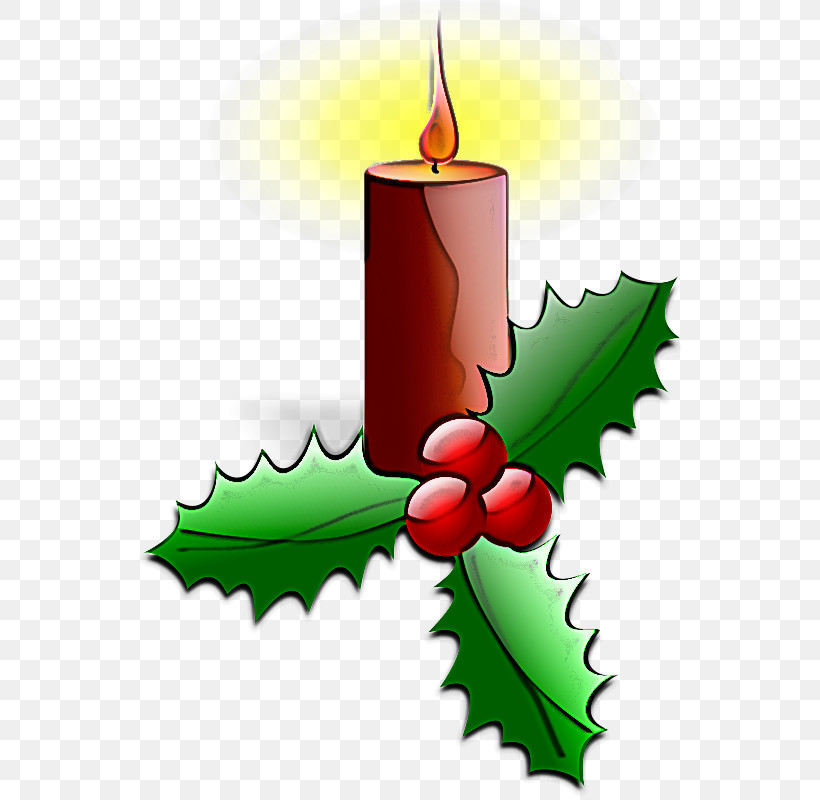 Holly, PNG, 550x800px, Holly, Candle, Leaf, Plant, Tree Download Free