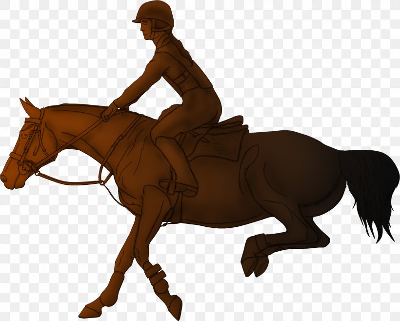 Hunt Seat Horse Mane Rein Stallion, PNG, 2079x1669px, Hunt Seat, Bit, Bridle, Cowboy, English Riding Download Free