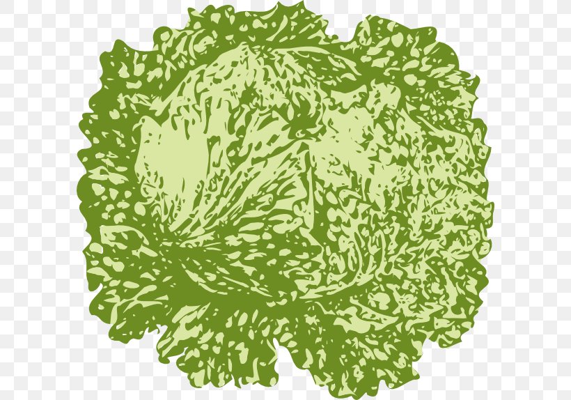 Iceberg Lettuce Salad Cabbage Clip Art, PNG, 600x574px, Iceberg Lettuce, Cabbage, Flower, Food, Green Download Free